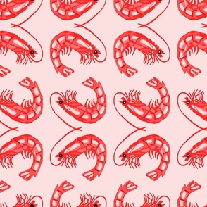  Just Shrimp | Pink