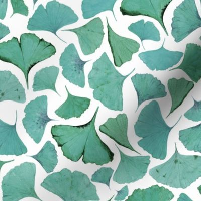 Teal Ginkgo Leaves in White - 12