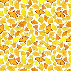 Yellow Ginkgo Leaves in White -12