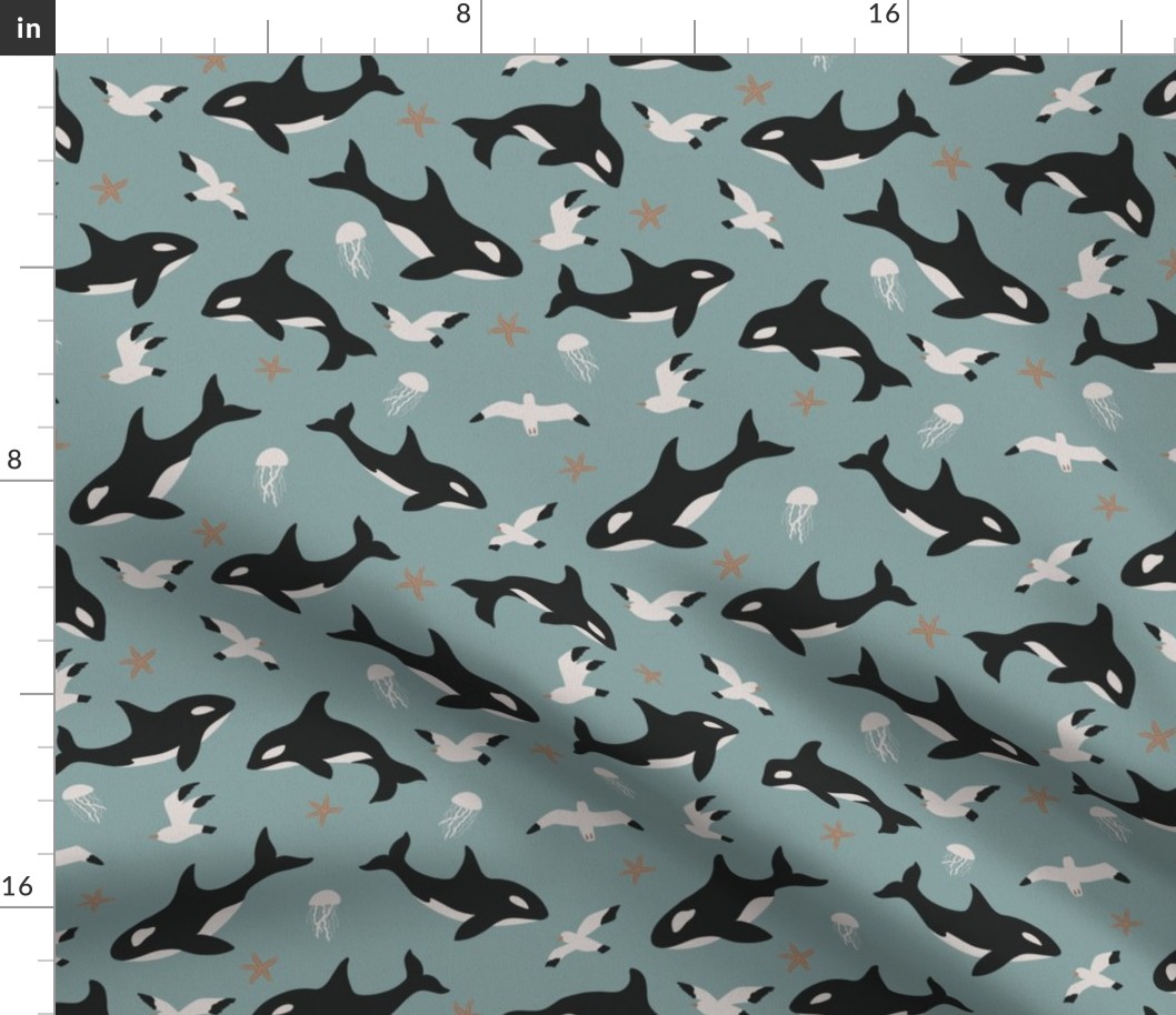 Puget Sound Orca Pattern