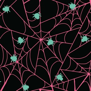 Pastel Spider Web
