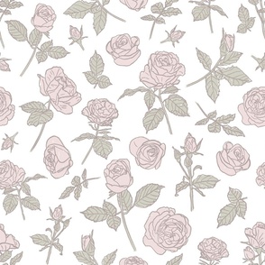 Shabby chic roses in blush pink and soft sage green with line art 