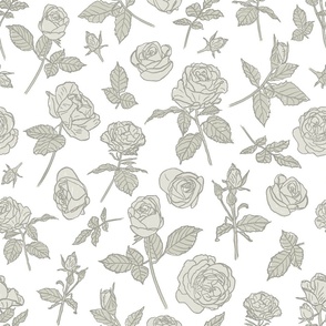 Shabby chic roses in soft sage green with line art on white