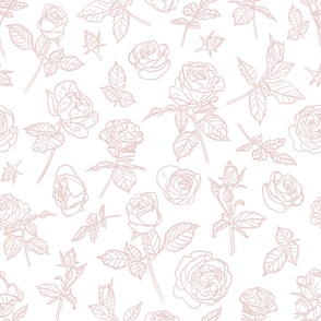 Shabby chic roses in dusty pink line art on white