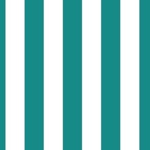 3/4 Inch Vertical Stripes Gender Neutral Teal and White