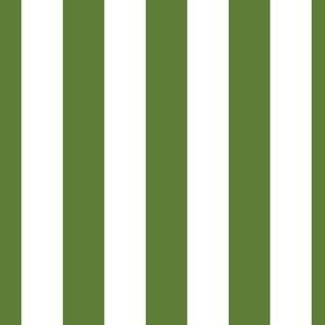 3/4 inch vertical stripes in white and green