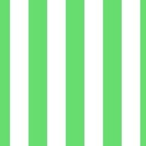 3/4 inch vertical stripes in white and bright green