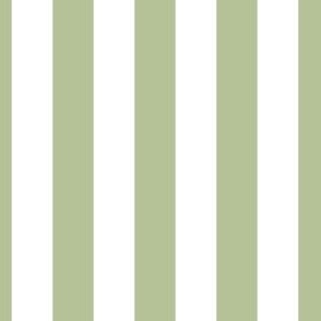 3/4 inch vertical stripes in white and light green