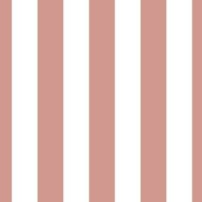 3/4 inch vertical stripes in white and terracotta