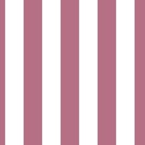 3/4 inch vertical stripes in white and red rose