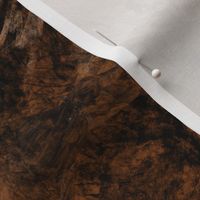 Abstract wood grain / rock texture in black/ brown/white colors 
