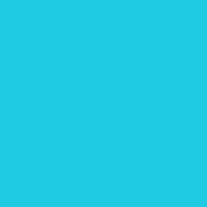 Solid Bright Turquoise From Coastal Vibrant Palette Hex Code 1ecbe0