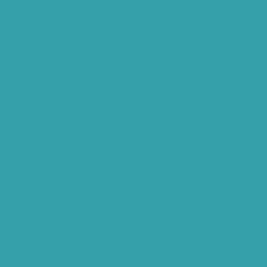 Solid Teal Blue From Coastal Vibrante Palette Hex Code 35a0aa