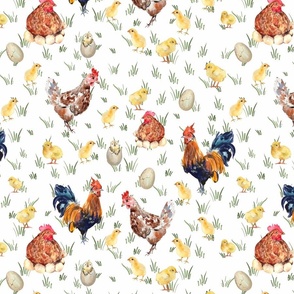 Large - Enchanting Watercolor Artistry: Farmyard Scenes Evoked Through Hand-Painted Patterns Featuring Chickens, Hens, rooster, Chicks, eggs and Rural Life on white background