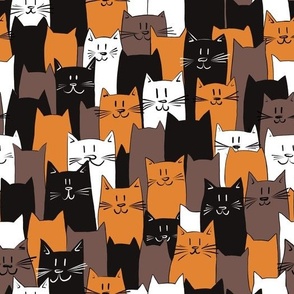 Multicolour cats