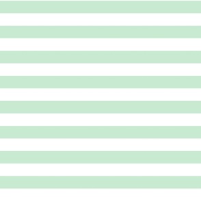 Pattern Of Light Green And White Horizontal lines