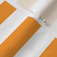 Pattern Of Orange And White Horizontal lines