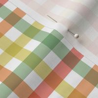 Summer Gingham - Multicolor, Medium Scale