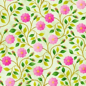 Prairie Rose Large Scale Eau de nil