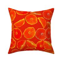 Beautiful Bright Oranges / Oranges Photography / Fruit Photography Orange Background