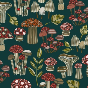 The Little Mushrooms