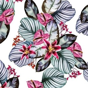 tropical striped leaves and pink flowers on a white background