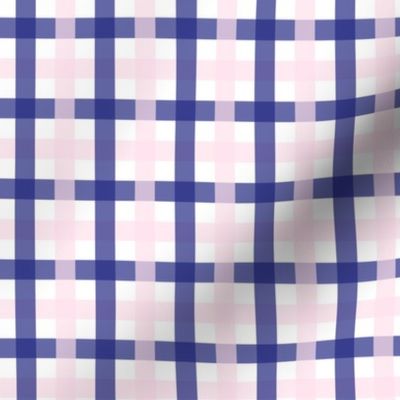 Pink and Navy Blue Gingham Checks