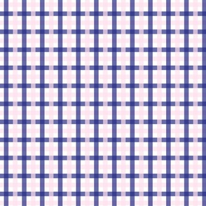 Pink and Navy Blue Gingham Checks