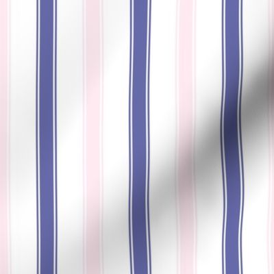 Light Pink and Navy Blue Ticking Stripes Vertical