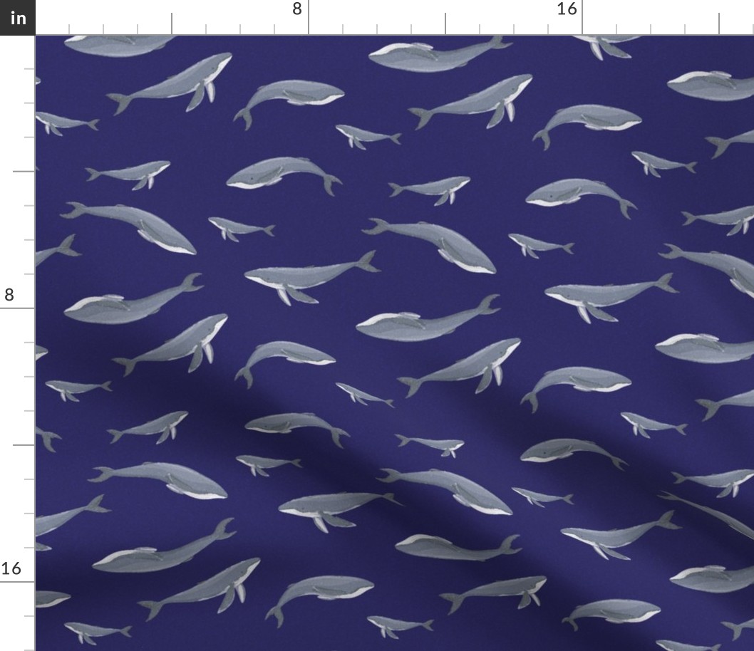 Grey whales into blue background