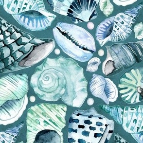 Seashell Song - Watercolour Shells (Teal Background)