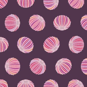 Sea Urchin Shells - Dark Pink (L)