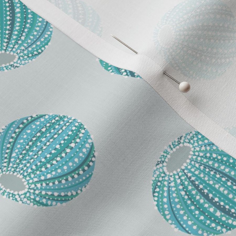 Sea Urchin Shells - Light Blue (M)