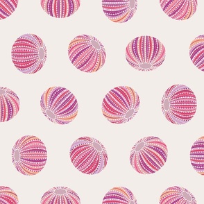 Sea Urchin Shells - Light Pink (L)