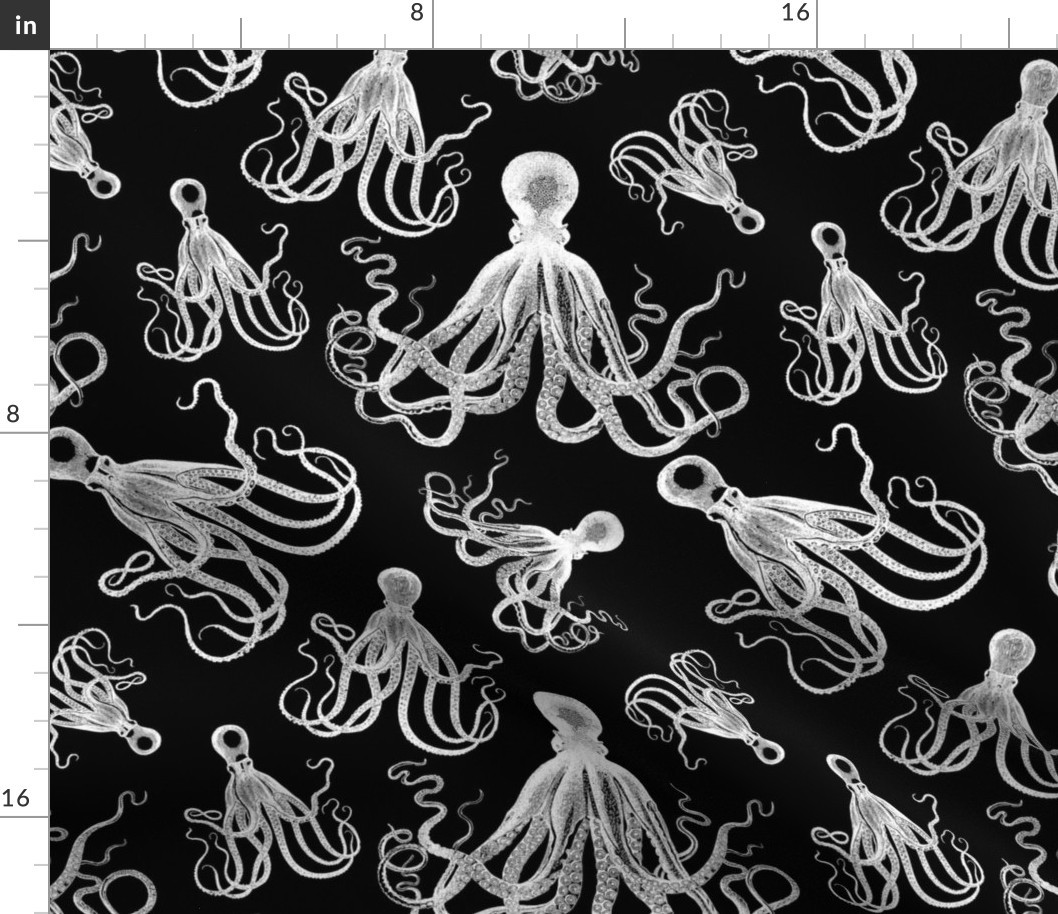 OCTOPI ARRAY LARGE - OCTOPI COLLECTION (WHITE AND BLACK)
