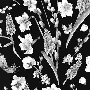 Monochrome spring garden flowers