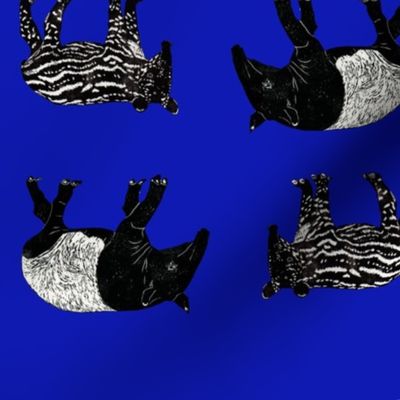 Dance of the Tapirs (Blue)
