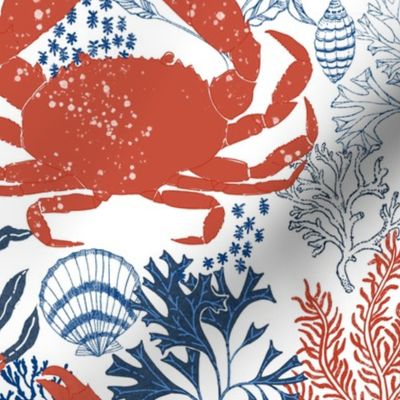 Coastal Crab - red, white and blue