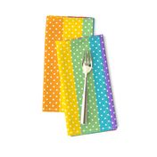 Bigger Colorful Happy Face Rainbow Vertical Stripes and Polkadots Coordinate