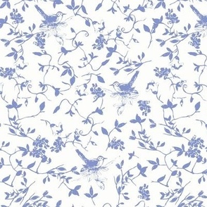 Blue Bird on White
