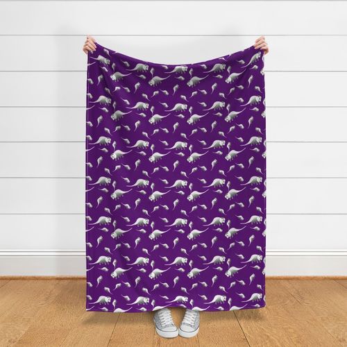 virginia opossum on purple