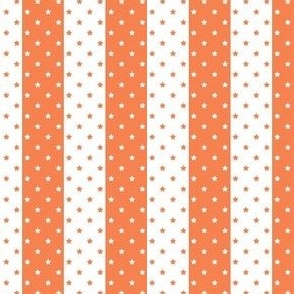 Smaller Stars and Stripes in White and Orange Spice