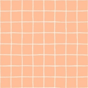 Hand Drawn Grid Lines 6in Pastel Apricot Orange