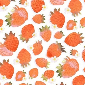 Fresh Strawberries Watercolor Fruit Print in White