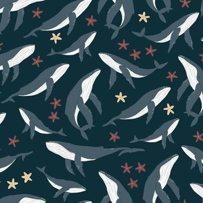 Humpback Whales and Sea Stars_Dark Blue