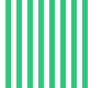 Pattern Of Green And White Vertical lines