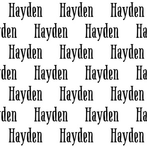 Hayden: Boho Serif Font on White