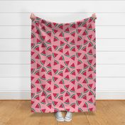 Juicy Watermelon Slices  on Pink - Large