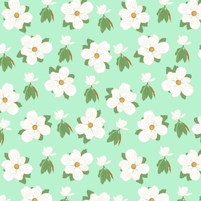 Sweet Magnolia Blooms With Mint Background 