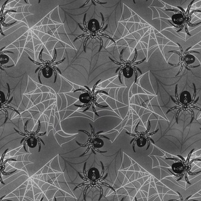 Black and Grey Spiders 